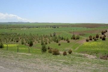 Tur Abdin 2003