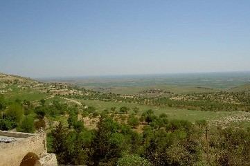 Blick über die bewaldete Hochebene bis zum Horizont