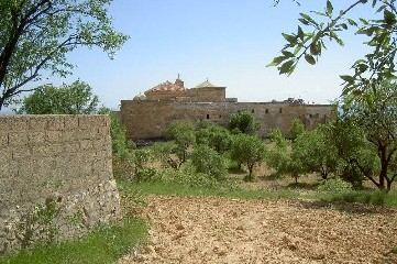 Kloster hinter Olivenbäumen, im Vordergrund eine Steinmauer