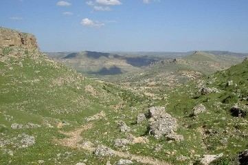 Kalksteinfelsen und Geröllhänge im Tur Abdin